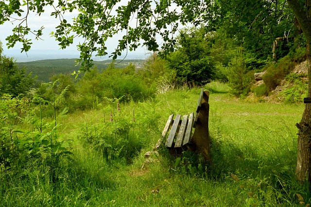 这些变化 这些变化