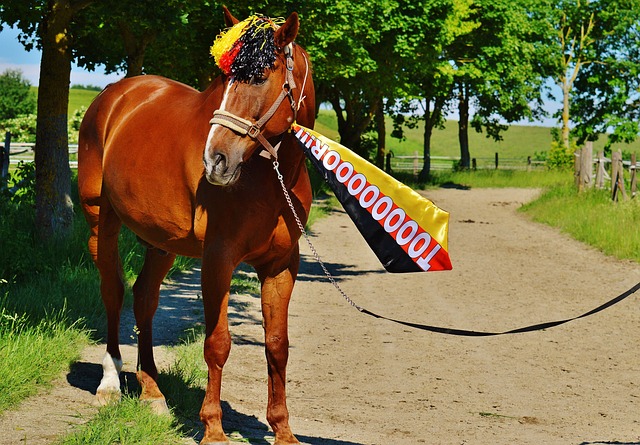 关系在冲突 关系在冲突